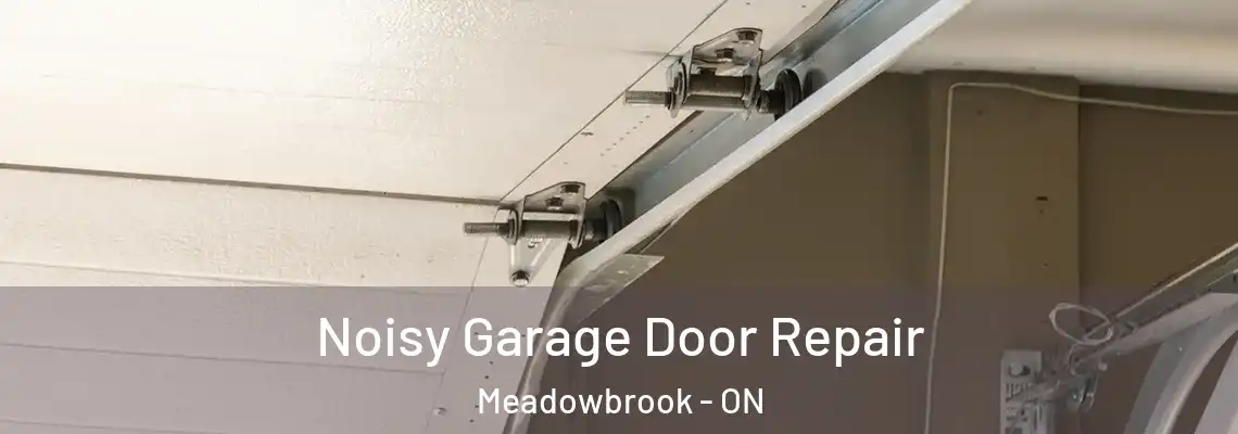 Noisy Garage Door Repair Meadowbrook - ON