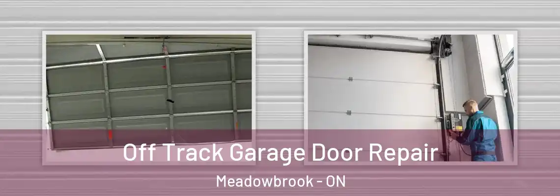 Off Track Garage Door Repair Meadowbrook - ON