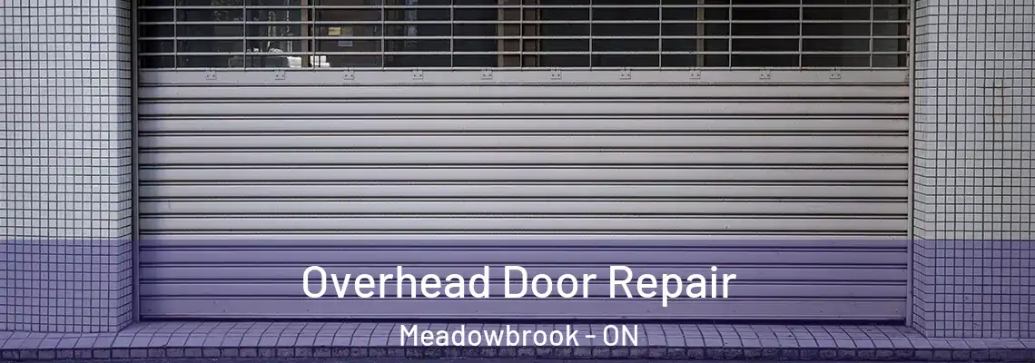 Overhead Door Repair Meadowbrook - ON
