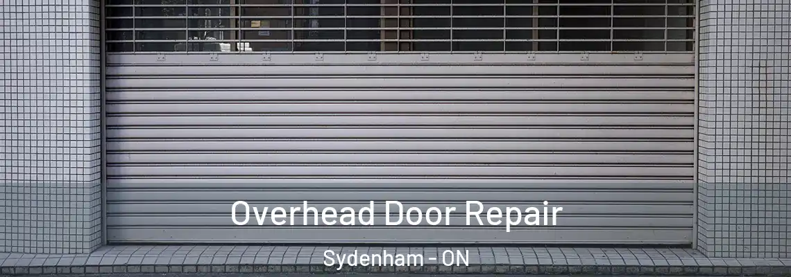  Overhead Door Repair Sydenham - ON