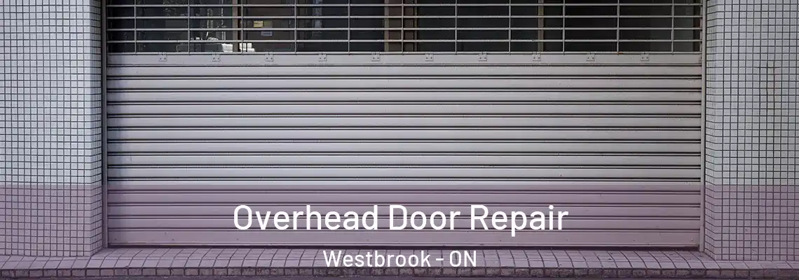  Overhead Door Repair Westbrook - ON