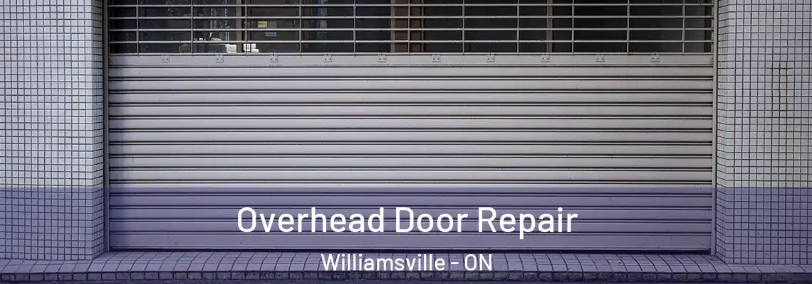  Overhead Door Repair Williamsville - ON