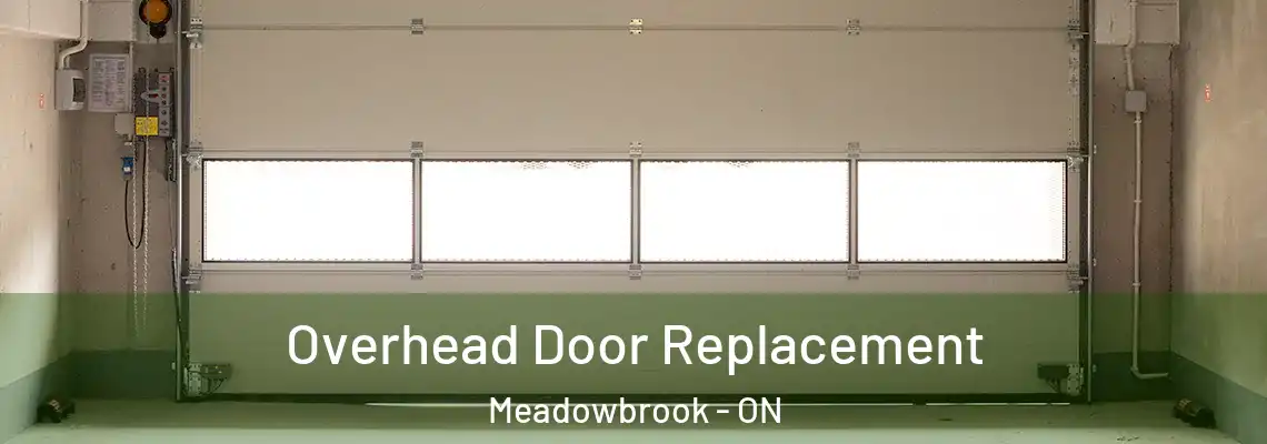 Overhead Door Replacement Meadowbrook - ON