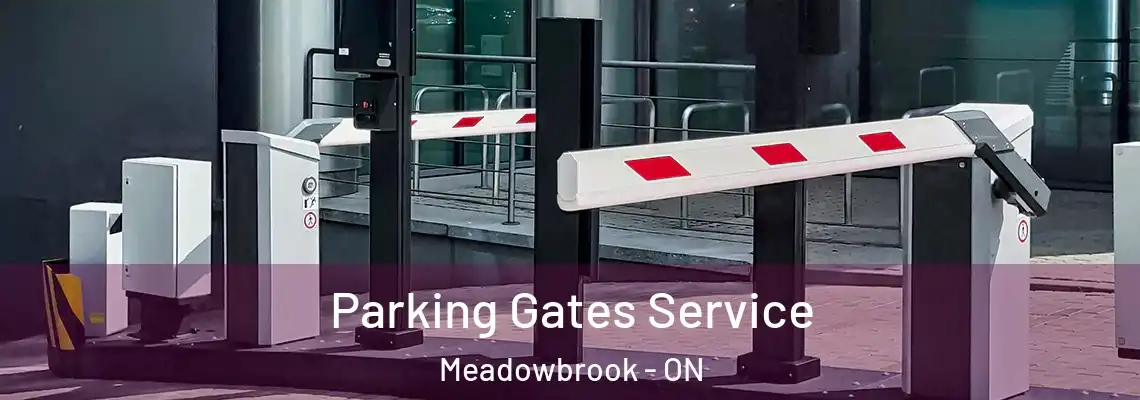 Parking Gates Service Meadowbrook - ON