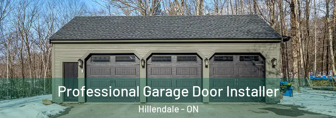 Professional Garage Door Installer Hillendale - ON