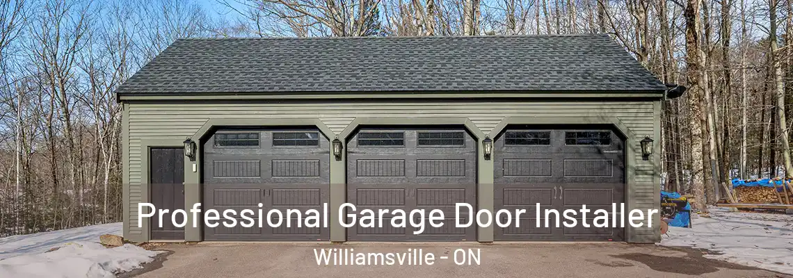  Professional Garage Door Installer Williamsville - ON