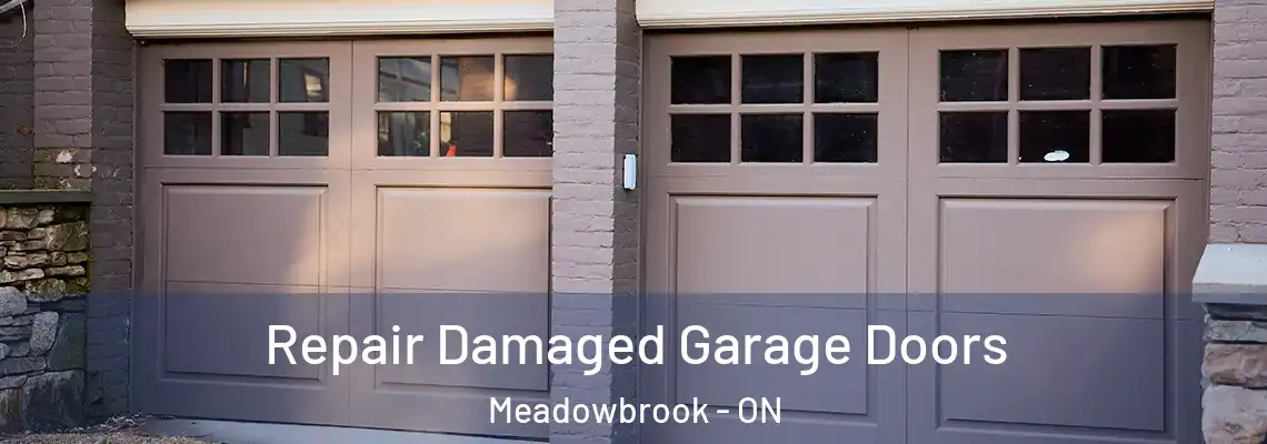  Repair Damaged Garage Doors Meadowbrook - ON