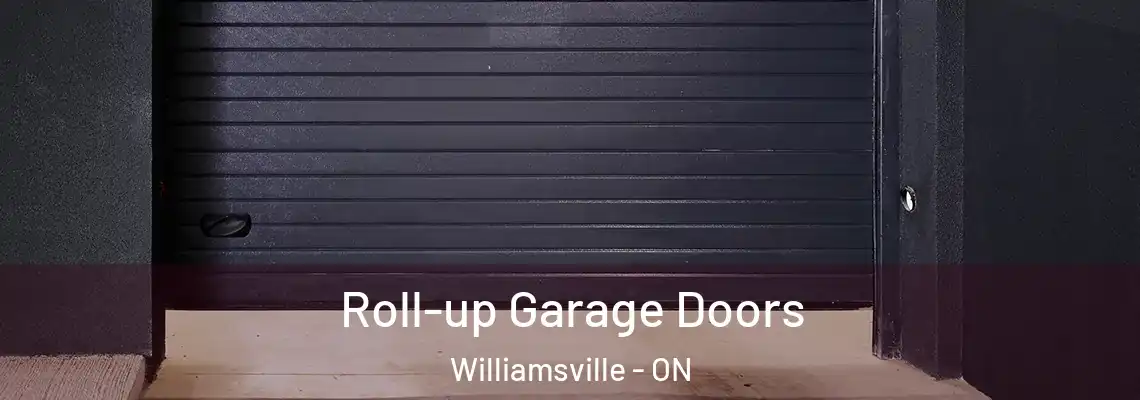 Roll-up Garage Doors Williamsville - ON