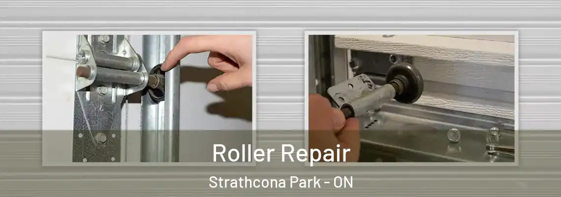  Roller Repair Strathcona Park - ON