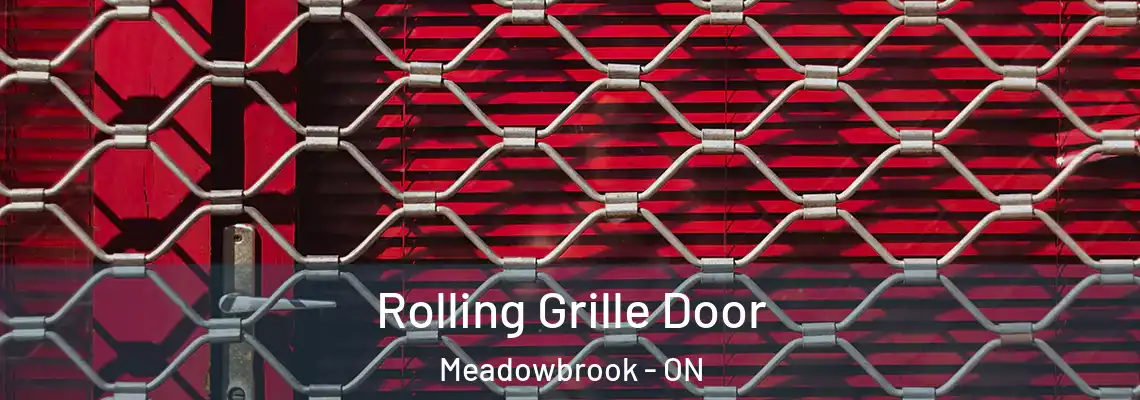  Rolling Grille Door Meadowbrook - ON