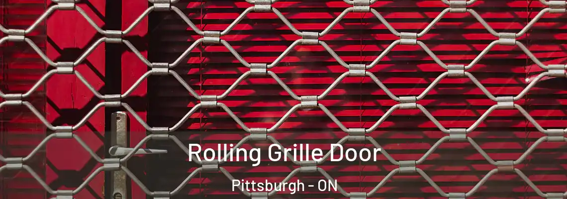  Rolling Grille Door Pittsburgh - ON