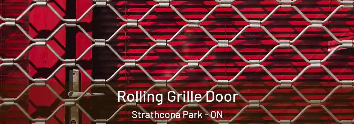  Rolling Grille Door Strathcona Park - ON