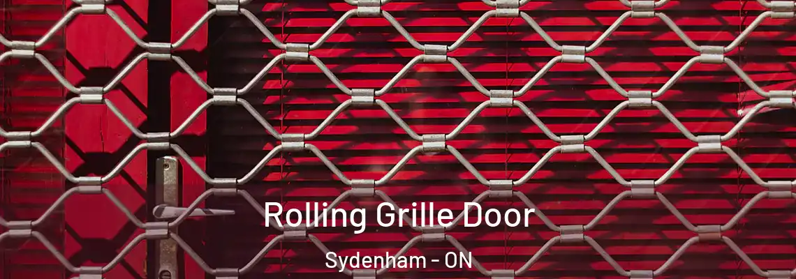 Rolling Grille Door Sydenham - ON