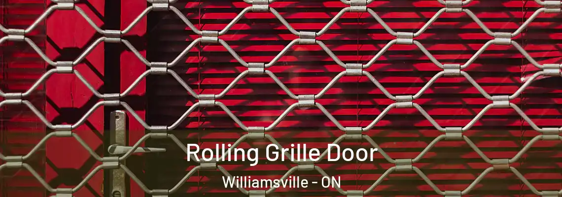  Rolling Grille Door Williamsville - ON