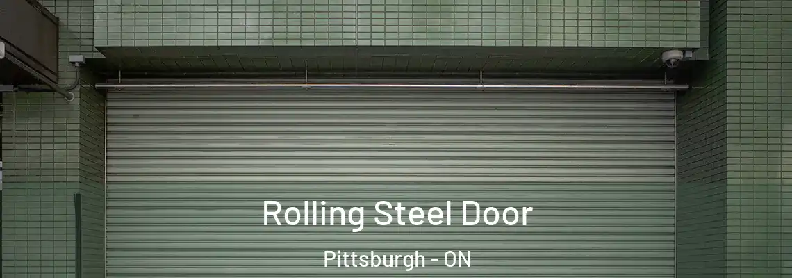  Rolling Steel Door Pittsburgh - ON