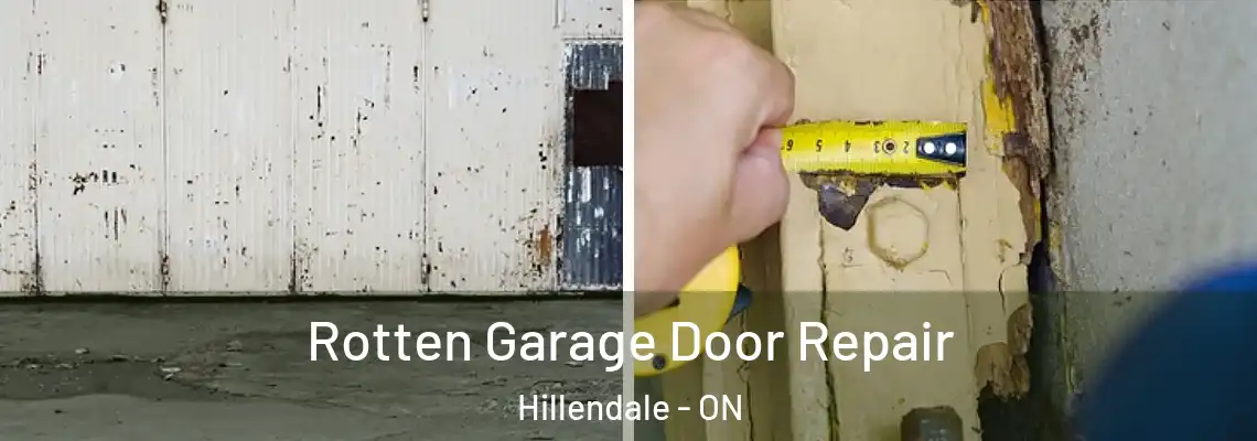 Rotten Garage Door Repair Hillendale - ON