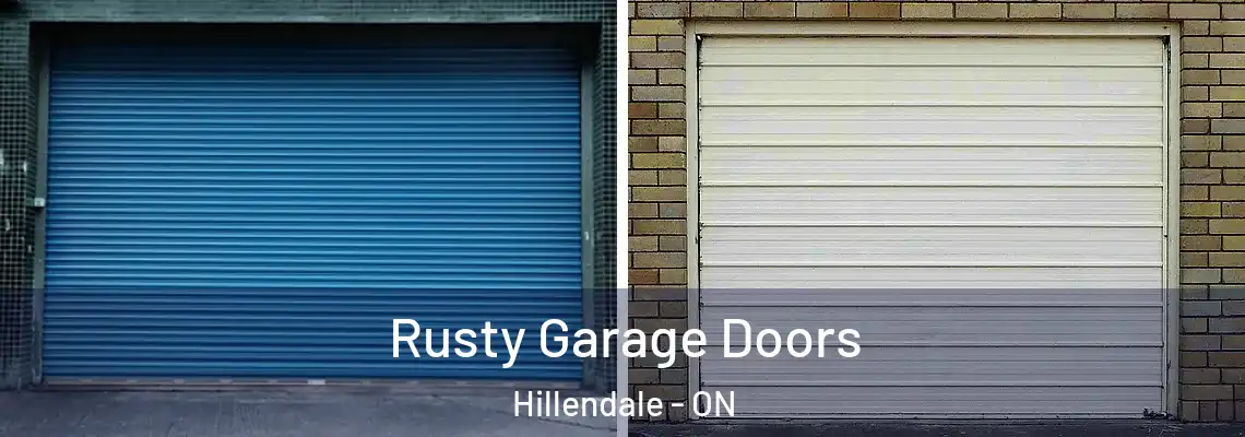 Rusty Garage Doors Hillendale - ON