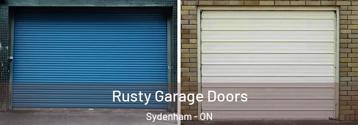  Rusty Garage Doors Sydenham - ON