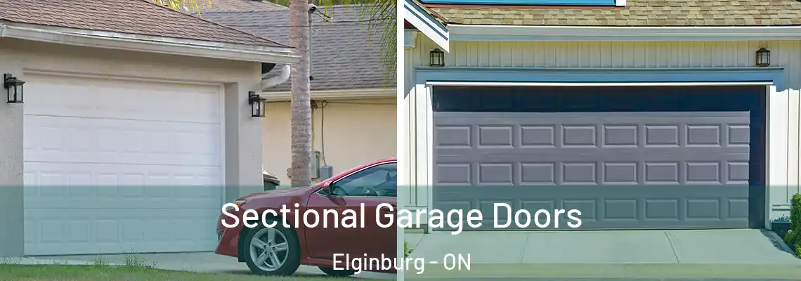 Sectional Garage Doors Elginburg - ON