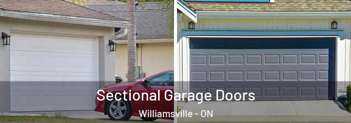 Sectional Garage Doors Williamsville - ON