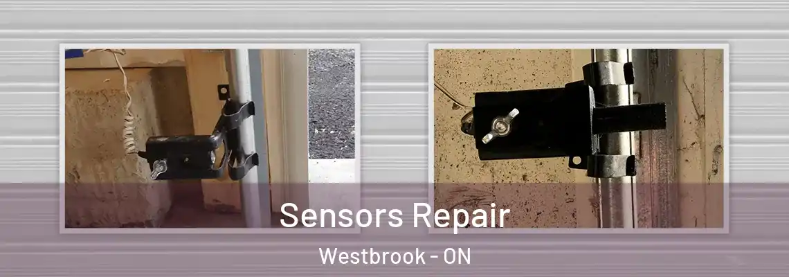  Sensors Repair Westbrook - ON