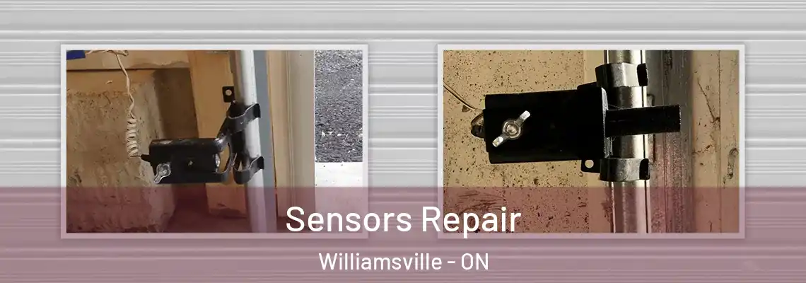 Sensors Repair Williamsville - ON