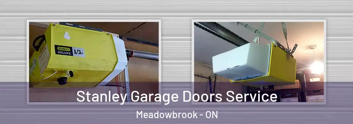Stanley Garage Doors Service Meadowbrook - ON