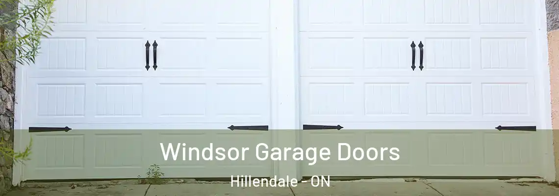Windsor Garage Doors Hillendale - ON